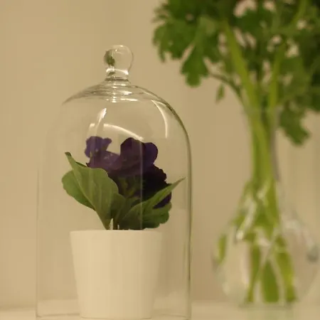 게스트하우스 Moro 34 3*